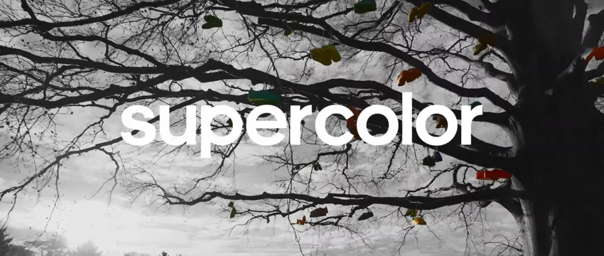 Supercolor Superstar : Adidas et Pharrell Williams (re)créent la tendance